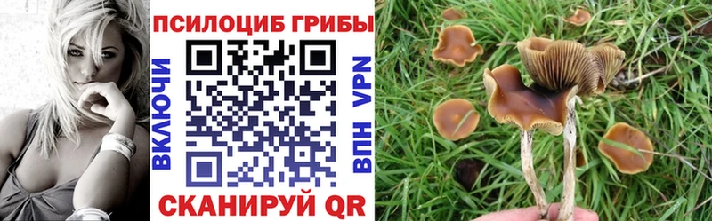 Галлюциногенные грибы Cubensis  купить наркоту  Агрыз 